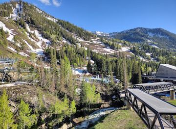 utah/snowbird-ski-resort/attraction/snowbird
