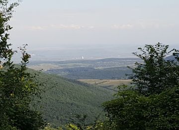 romania/alba/attraction/padurea-sloboda