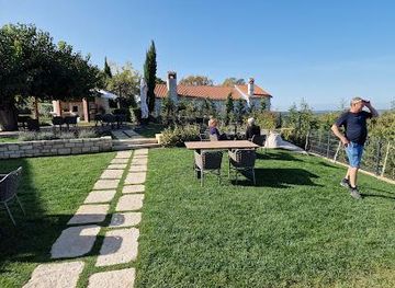 slovenia/piran/attraction/pino-rossi-vina