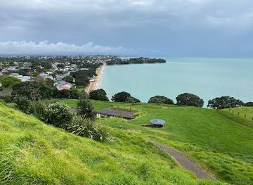 new-zealand/auckland/devonport/attraction/old-guns-never-die