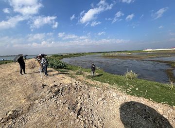 bangladesh/tanguar-haor/attraction/gurmar-haor