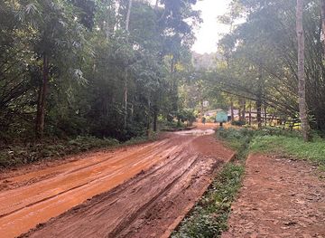 cote-d-ivoire/abidjan-autonomous-district/attraction/foret-du-banco