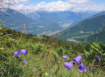 italy/alta-valtellina/attraction/alpe-culino