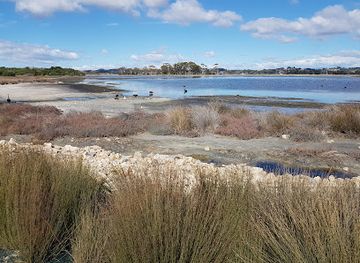 new-zealand/hawke-s-bay/attraction/westshore-wildlife-reserve