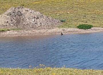 south-africa/eastern-cape/attraction/kragga-kamma-game-park