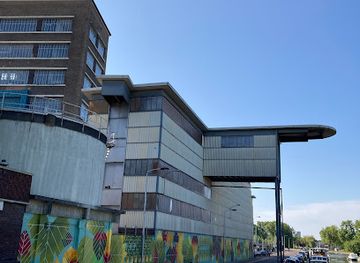 netherlands/delft/attraction/streetart-dsm-wateringseweg