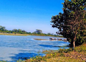 india/northeast-india/attraction/kaziranga-national-park