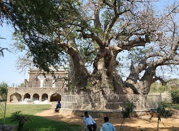 india/hyderabad/attraction/hatiyan-jhad-baobab-tree
