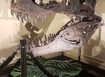 wisconsin/eastern-ridges-and-lowlands/attraction/weis-earth-science-museum