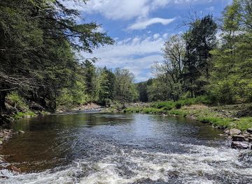 pennsylvania/south-central-pennsylvania/attraction/natural-lands-bear-creek-preserve
