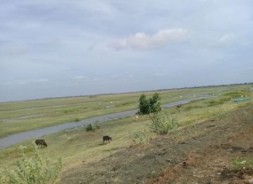 sri-lanka/mannar-district/attraction/kattukkarai-kulam