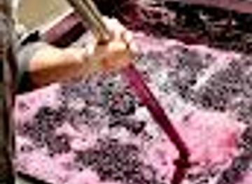 wisconsin/appleton/attraction/ledgestone-vineyards-and-gnarly-cedar-brewery