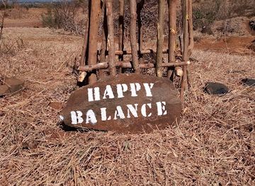 madagascar/diego-suarez/attraction/baobab-happy-balance-a-suarezensis