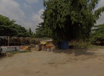 nigeria/iita-forest-reserve/attraction/sethee-agro-biz-venture-linied