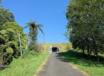 new-zealand/new-plymouth/attraction/mangati-reserve