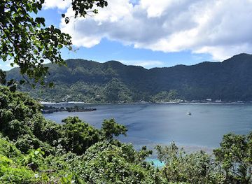 american-samoa/vatia-village/attraction/blunts-point-battery