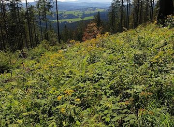 slovakia/tatras/attraction/panski-kopec