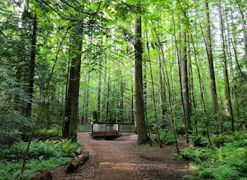 washington/redmond/attraction/farrel-mcwhirter-park