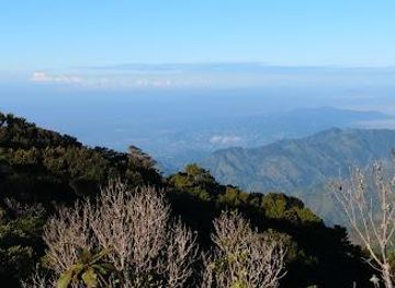 jamaica/portmore/attraction/blue-mountain-peak