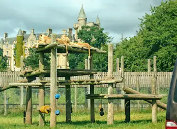 Blair Drummond Safari and Adventure Park
