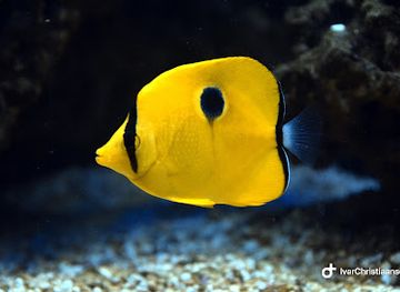 netherlands/alblasserwaard/attraction/aqua-zoo-leerdam