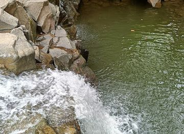 india/north-india/attraction/ringnabodi-waterfall