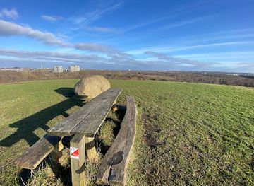 denmark/herning/attraction/knudmose