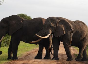 uganda/central-region/attraction/epic-uganda-vacation-ltd