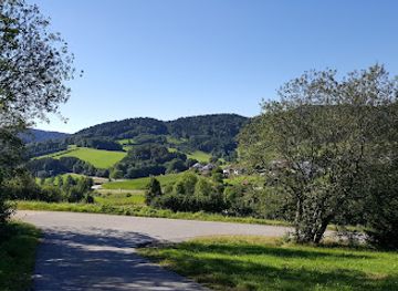 germany/bavarian-forest-national-park/attraction/keltendorf-gabreta-archaologischer-erlebnispark-restaurant-und-biergarten