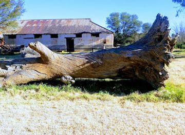 south-africa/bloemfontein/attraction/bewarea-concervancy