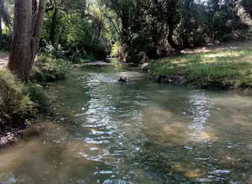 Fuentes De Marcelo