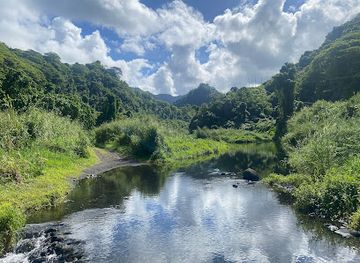 french-polynesia/tahiti-iti/attraction/vallee-de-titaaviri