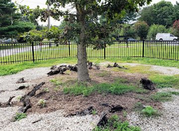 maryland/wye-island-natural-resource-management-area/attraction/the-wye-oak-marker