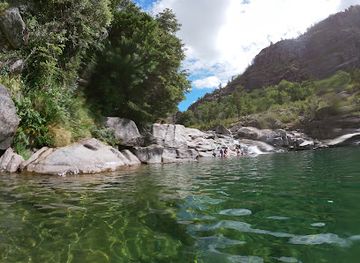 chile/biobio-region/attraction/nuble-national-reserve