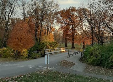 illinois/prairie-state/attraction/busey-woods