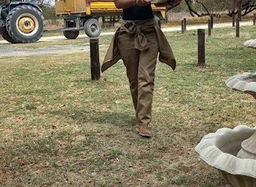 south-africa/north-west/attraction/barberspan-nature-reserve