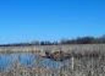 michigan/frankenmuth/attraction/observation-deck