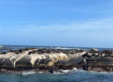 south-africa/cape-town/attraction/seal-island