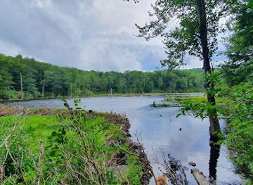 massachusetts/berkshires/attraction/bob-s-way