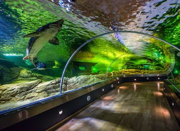 lithuania/klaipeda-region/attraction/lithuanian-sea-museum