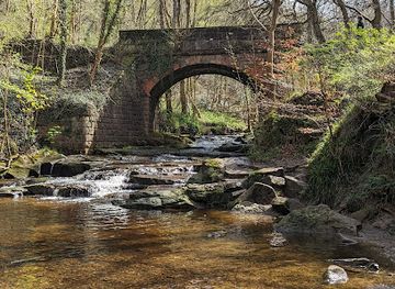 united-kingdom/whitby/attraction/falling-foss-tea-garden