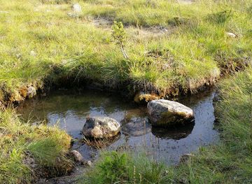 estonia/panga-cliff/attraction/meie-allikad