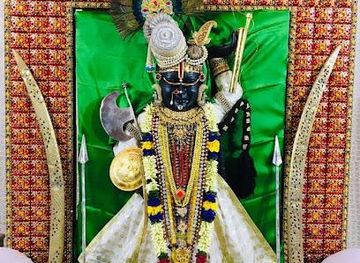 india/udaipur/attraction/shrinathji-temple