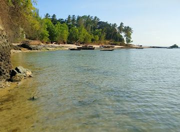 tanzania/zanzibar-archipelago/attraction/africa-tulip