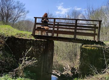 slovakia/poloniny-national-park/attraction/subor-mostov-na-stakcinskej-uzkokolajke