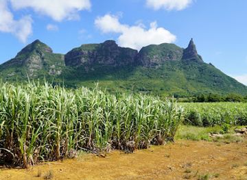 mauritius/moka/attraction/malenga-view-point