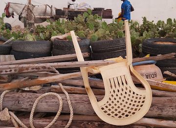 senegal/saint-louis/attraction/plage-de-yoff