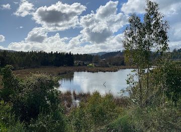 chile/concepcion/attraction/humedal-el-cuervo