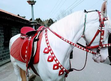 pakistan/murree/attraction/kashmir-point