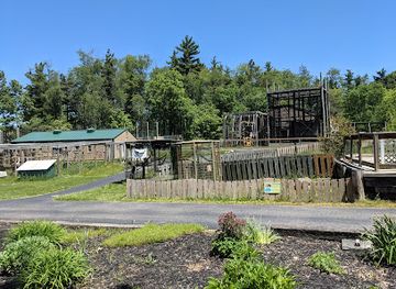 indiana/the-knobs/attraction/black-pine-animal-sanctuary